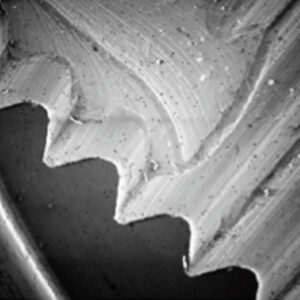 Raw processed surface