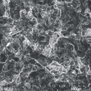 Surface microstructure  of Callus® implants  (MPS, SEM 500x)